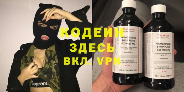 сатива Арсеньев