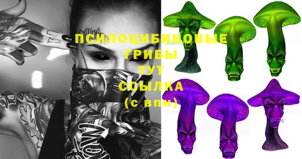соль ск Армянск