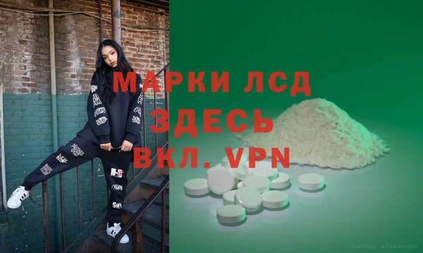 сатива Арсеньев