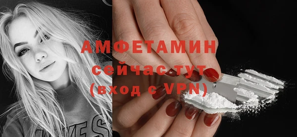сатива Арсеньев